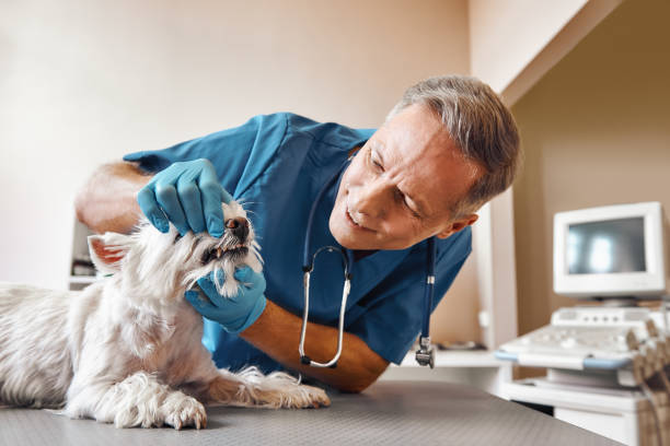Best Weekend Emergency Dentist in Lincroft, NJ